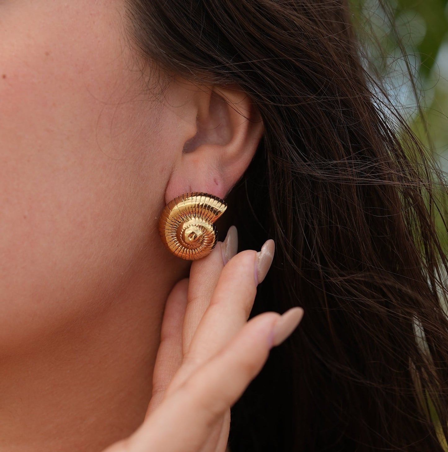 Bold Shell Earrings